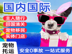 甘孜格萨尔机场快运国际宠物托运 【国